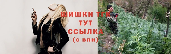 прущие грибы Балабаново