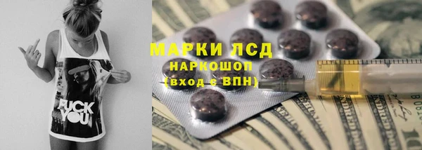 прущие грибы Балабаново