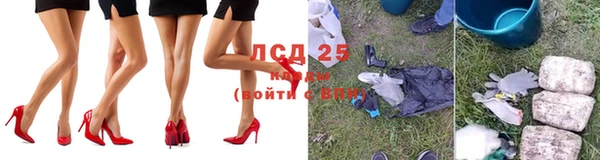 прущие грибы Балабаново