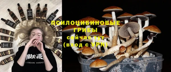 гашик Балахна