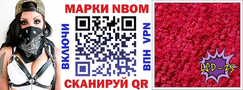 darknet наркотические препараты  Кировск  Марки 25I-NBOMe 1,8мг 