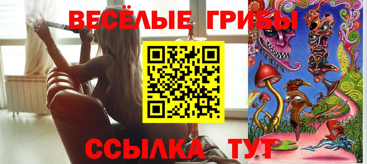 Галлюциногенные грибы Psilocybe  Псилоцибиновые грибы Magic Shrooms  Кировск 