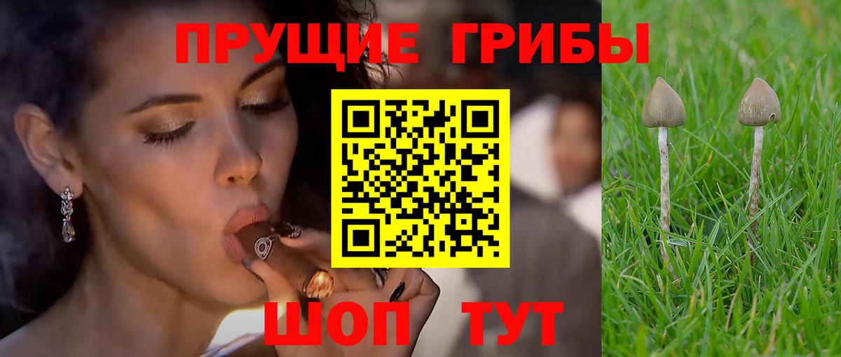 Галлюциногенные грибы прущие грибы  Псилоцибиновые грибы Cubensis  Вход с VPN  Кировск 