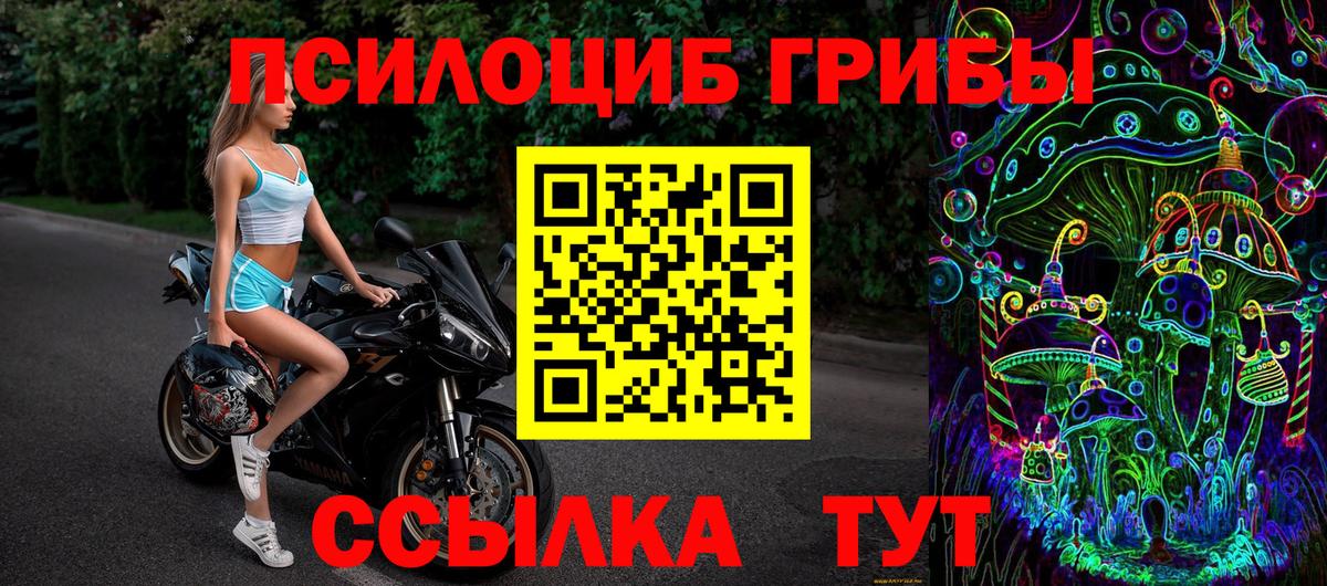 Галлюциногенные грибы Psilocybe Кировск