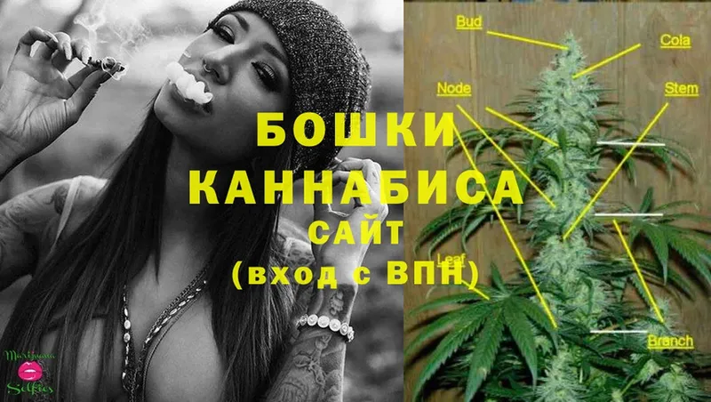 МАРИХУАНА OG Kush  Кировск 