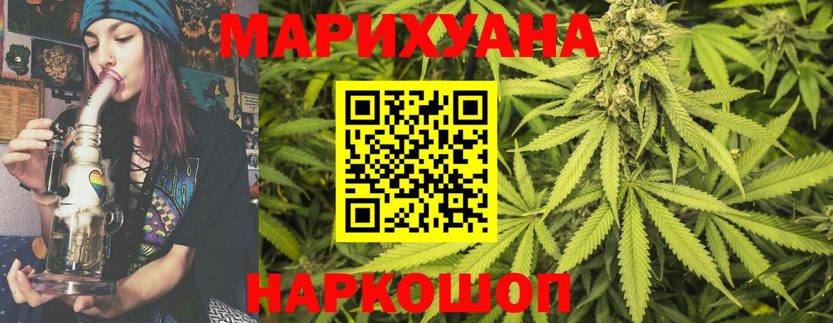 Бошки Шишки план Кировск